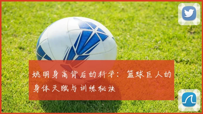 姚明身高背后的科学：篮球巨人的身体天赋与训练秘诀