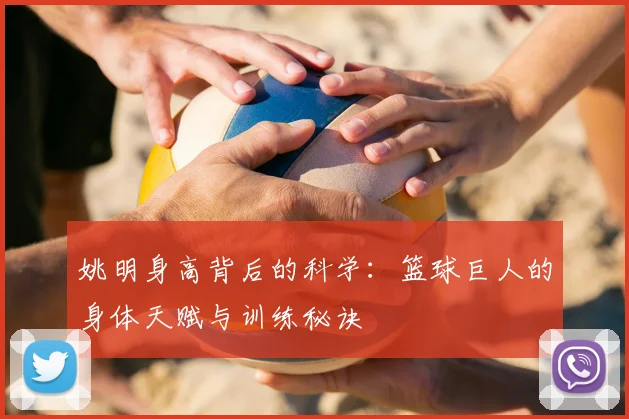 姚明身高背后的科学:篮球巨人的身体天赋与训练秘诀
